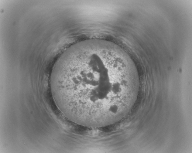 X0000088230695200706051348