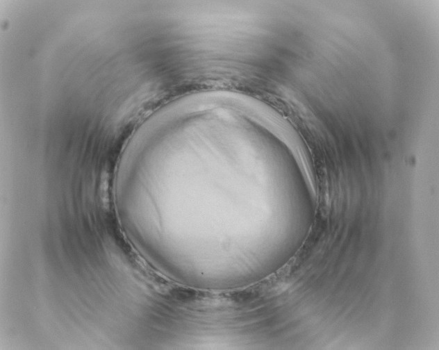 X0000088230696200706051348