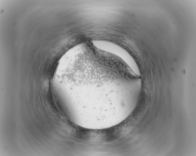 X0000088230697200706051348