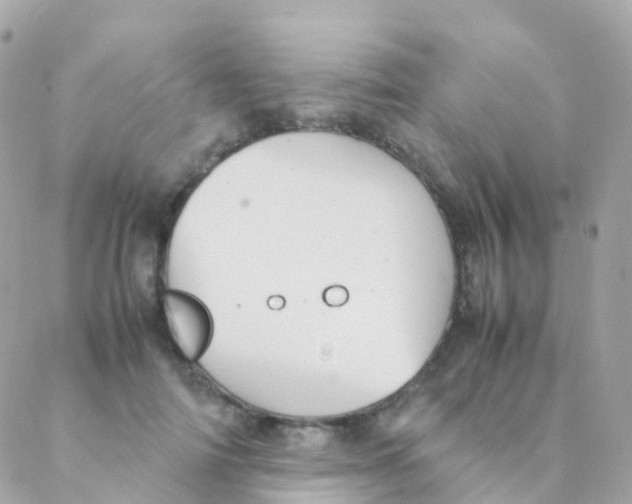 X0000088230698200706051348