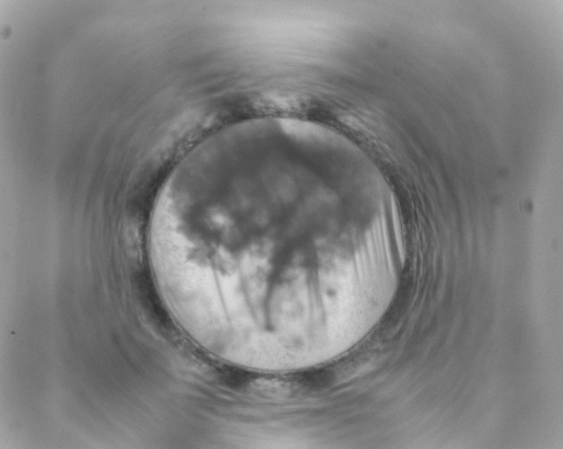 X0000088230699200706051348