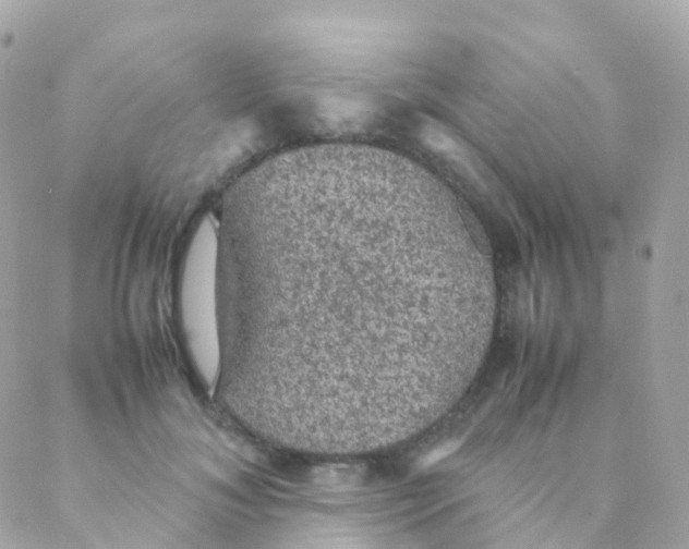 X0000088230700200706051348