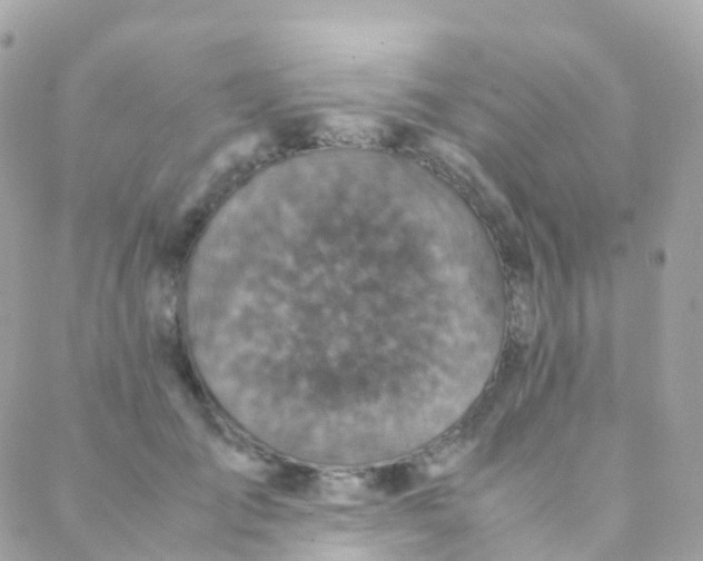 X0000088230701200706051348