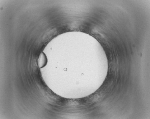 X0000088230702200706051348