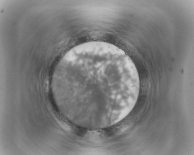 X0000088230703200706051348