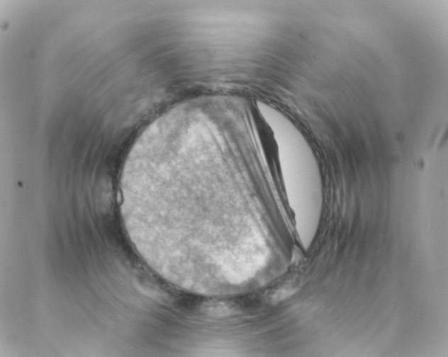 X0000088230704200706051348