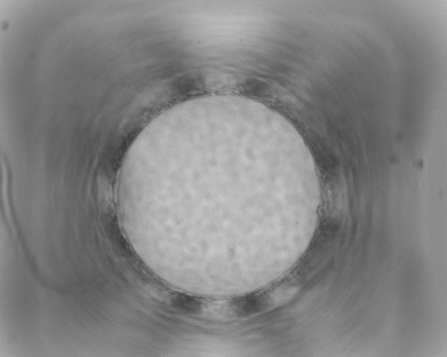 X0000088230705200706051348