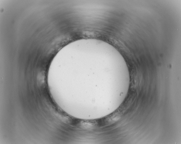 X0000088230706200706051348