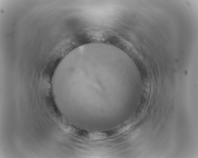 X0000088230707200706051348