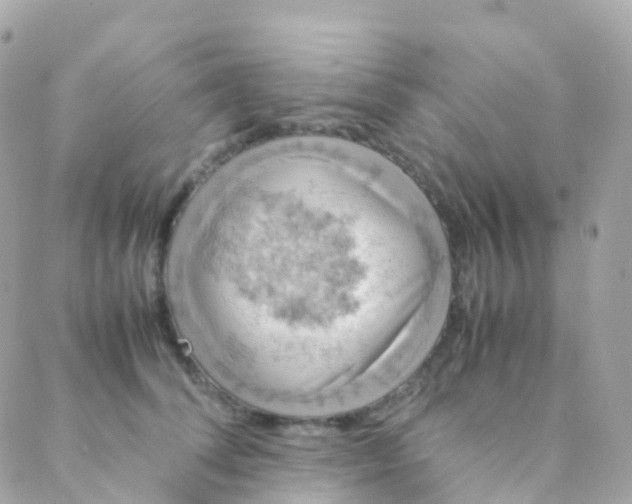 X0000088230708200706051348