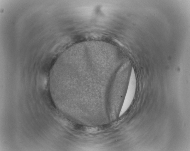 X0000088230709200706051348