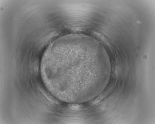 X0000088230710200706051348