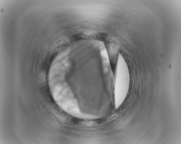 X0000088230711200706051348