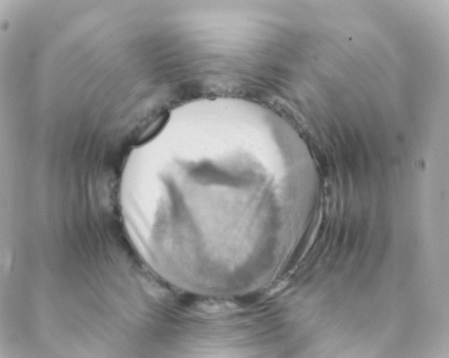 X0000088230712200706051348