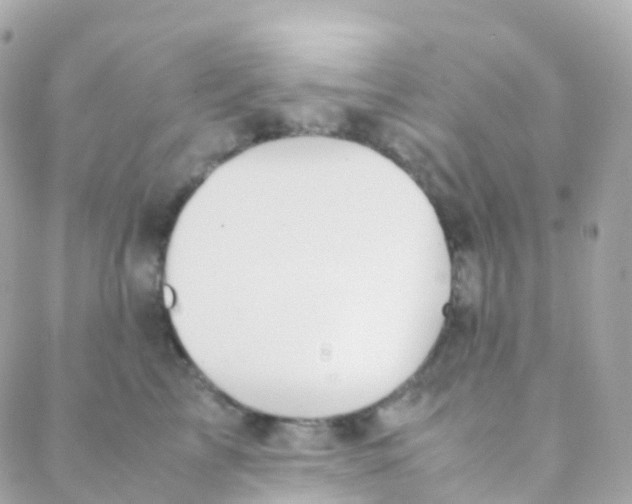 X0000088230713200706051348