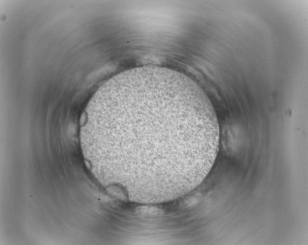 X0000088230714200706051347