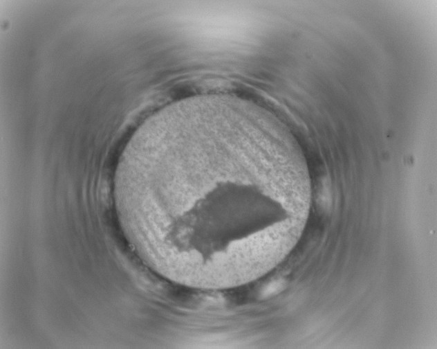 X0000088230715200706051347