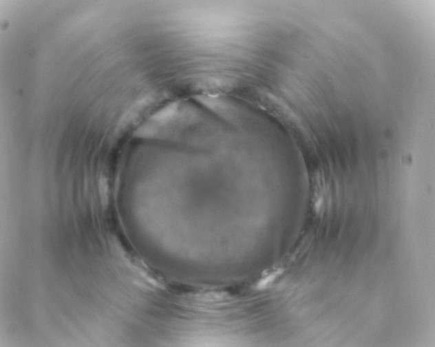 X0000088230716200706051347