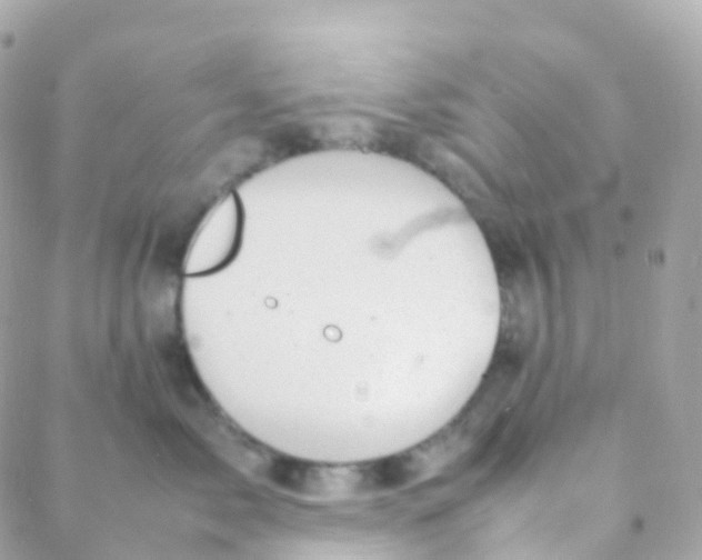 X0000088230717200706051347