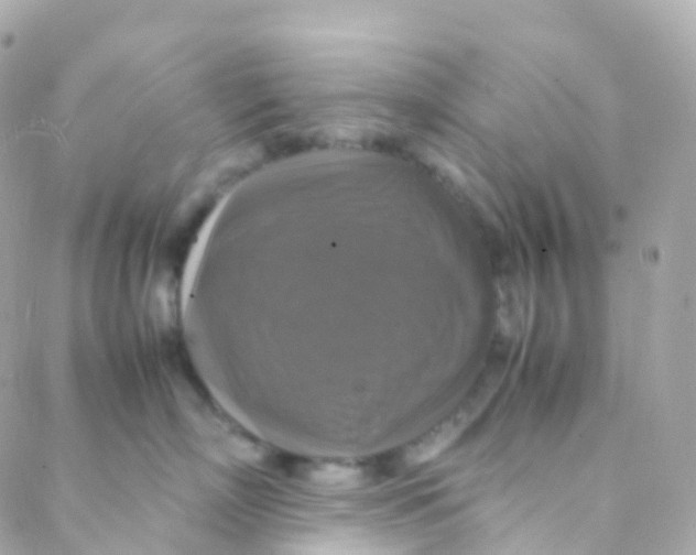 X0000088230718200706051347