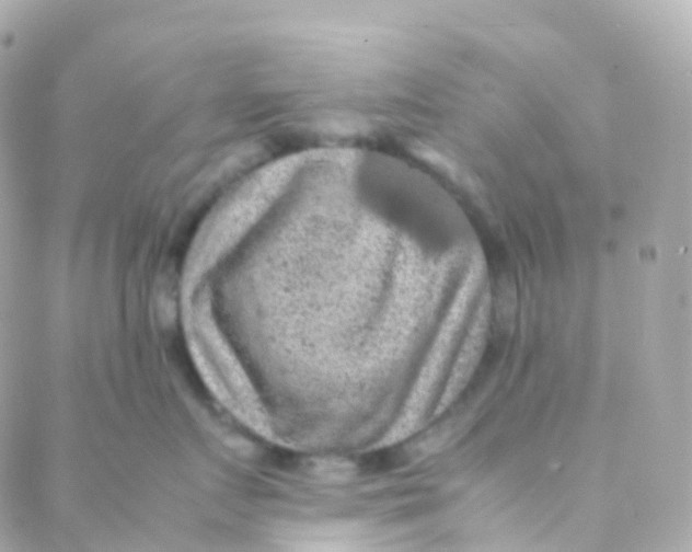 X0000088230719200706051347