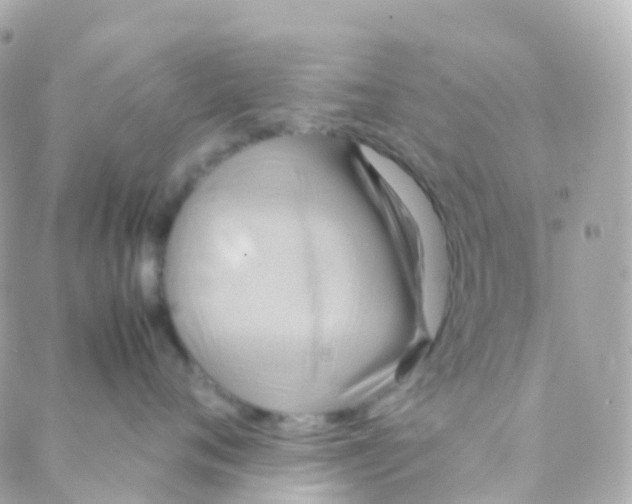 X0000088230720200706051347