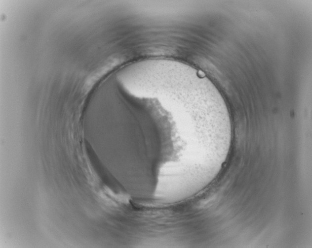 X0000088230721200706051347