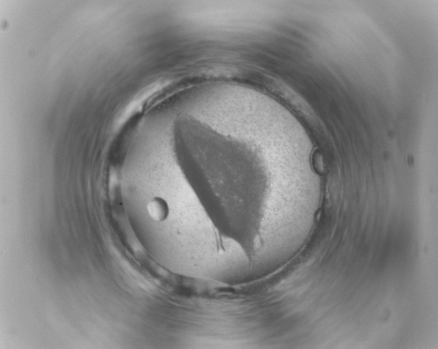 X0000088230722200706051347