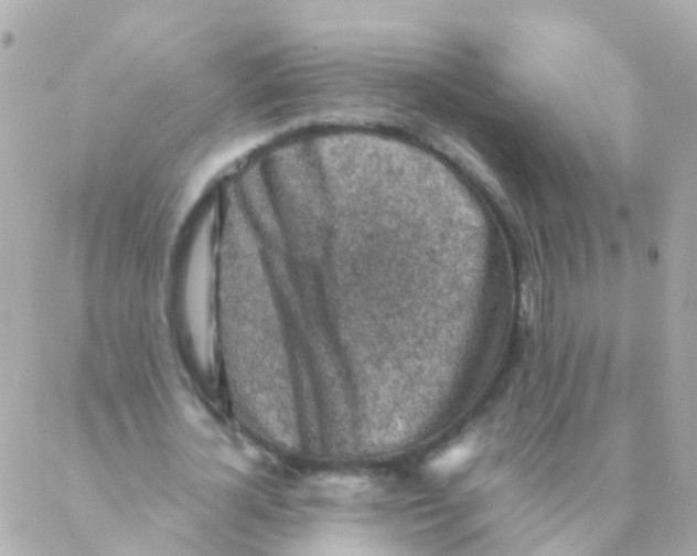 X0000088230724200706051347