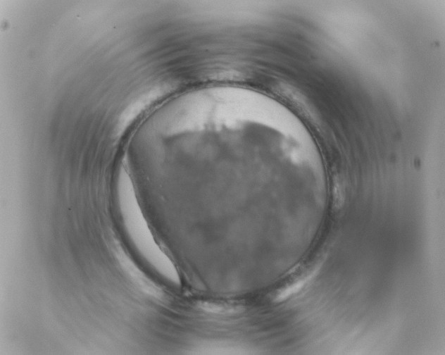 X0000088230725200706051347