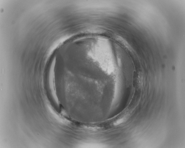 X0000088230726200706051347