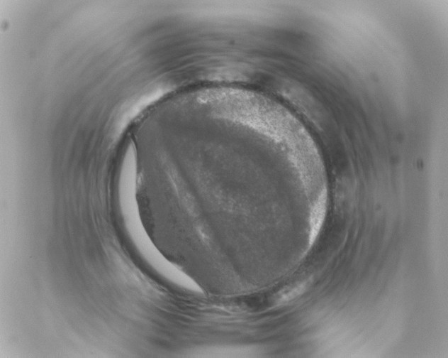 X0000088230727200706051347