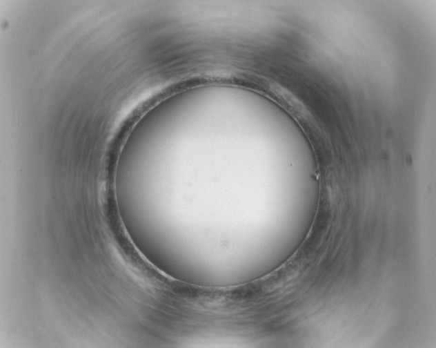 X0000088230728200706051347