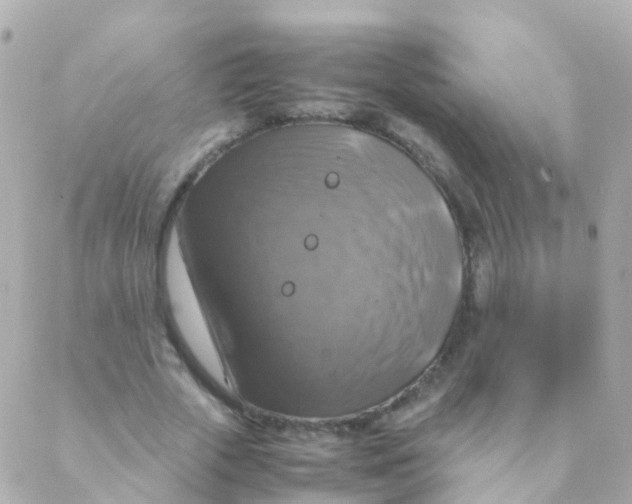 X0000088230729200706051347