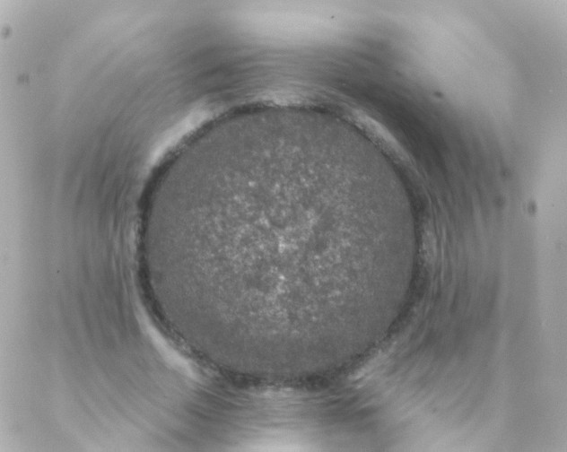 X0000088230730200706051347