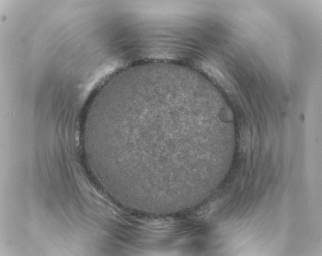 X0000088230731200706051347