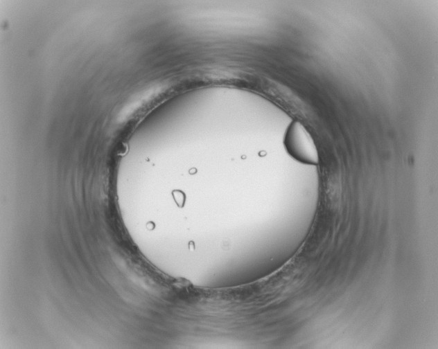 X0000088230732200706051347