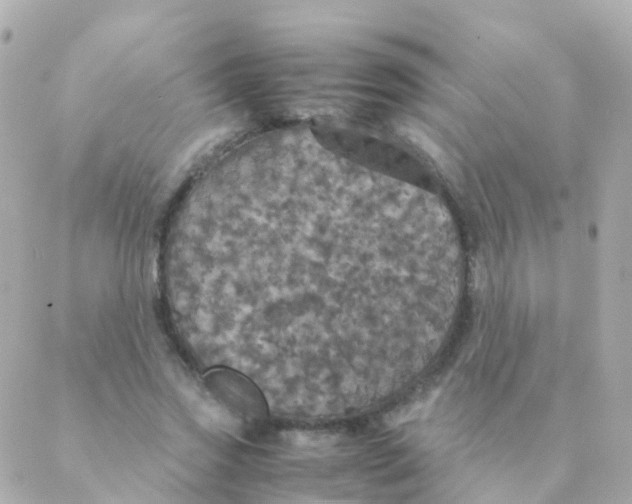 X0000088230733200706051347