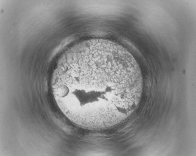 X0000088230734200706051347