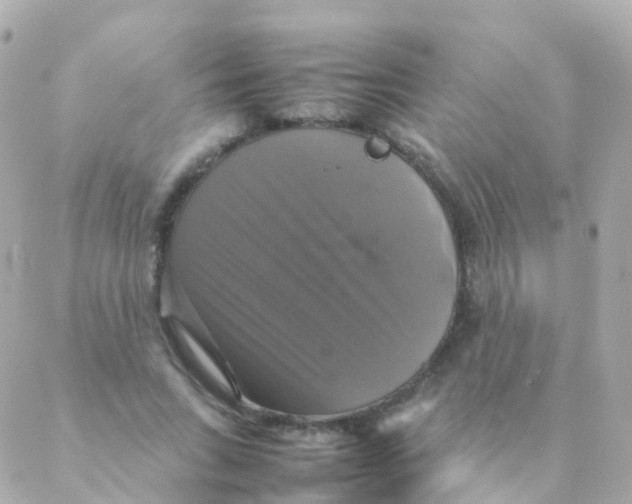 X0000088230735200706051347