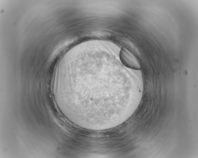 X0000088230736200706051347