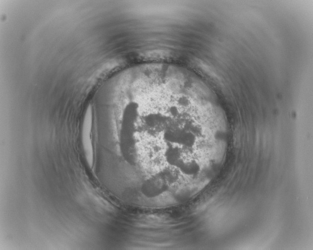 X0000088230737200706051347