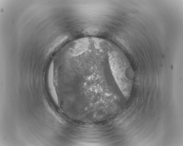 X0000088230738200706051347