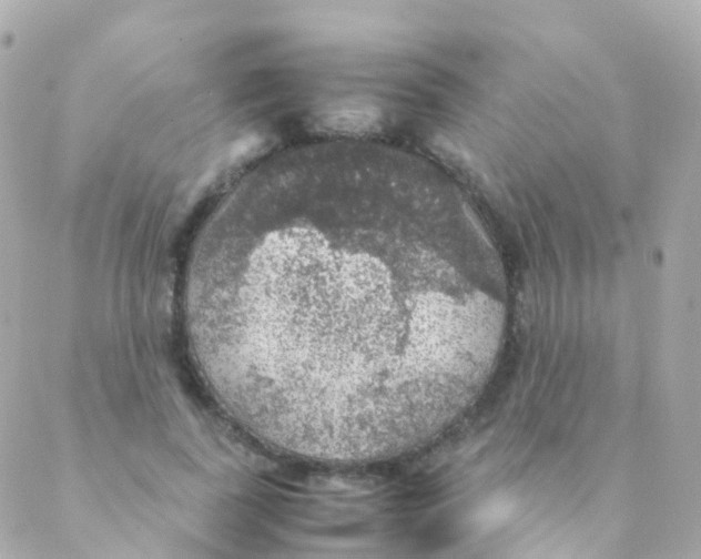 X0000088230739200706051347