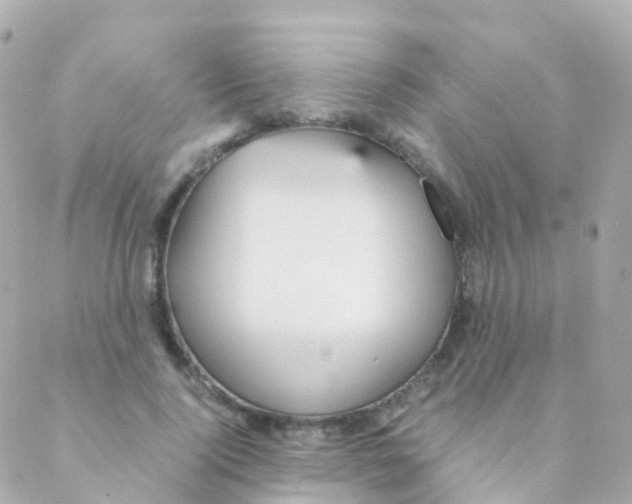 X0000088230740200706051347