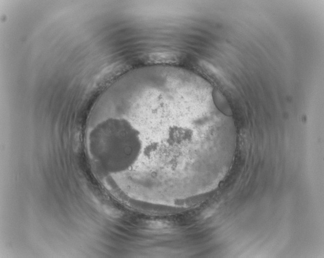 X0000088230741200706051347