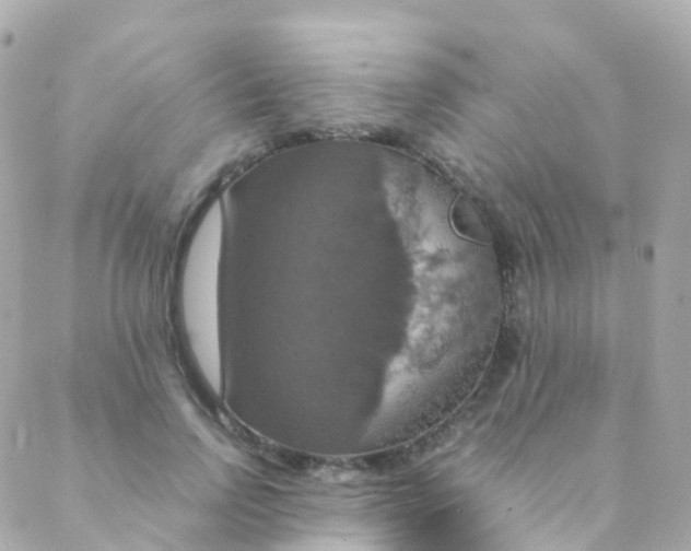 X0000088230742200706051347