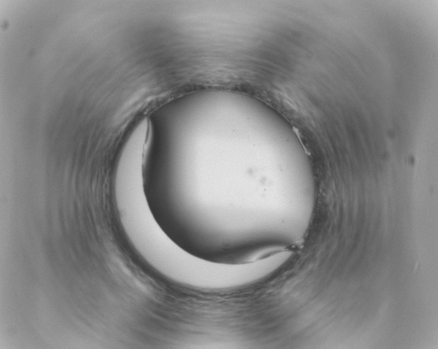 X0000088230744200706051347