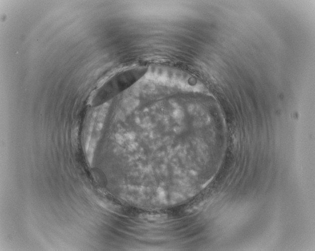 X0000088230745200706051347