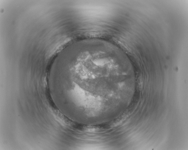 X0000088230746200706051347